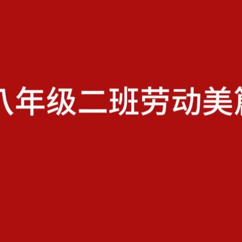 八年级二班劳动实践--劳动最光荣