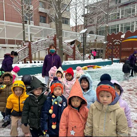 大雪至    ❄️雪花飘    ❄️趣满园