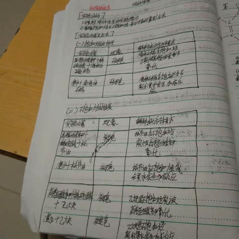 护理254.255班谢湘存实验报告