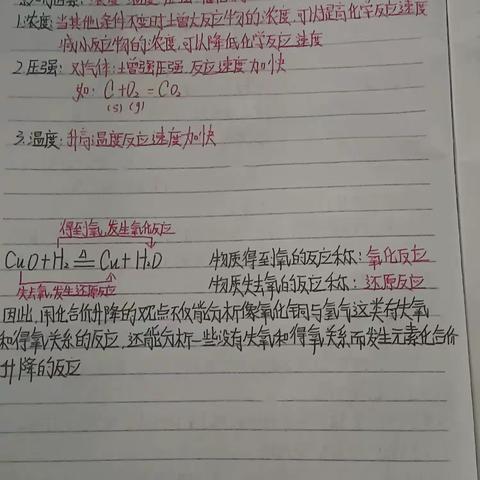 核工业卫生学校护理254/255陈钰