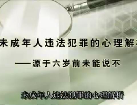 聪明树幼儿园父母讲堂：李玫瑾的《未成年人违法犯罪的心理解析—源于6岁以前未能说不》