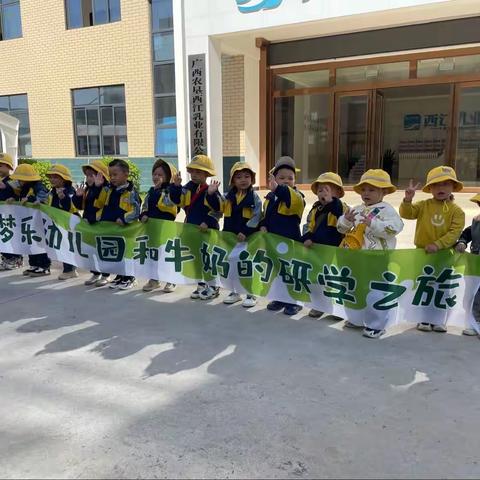 梦乐幼儿园和牛奶的研学之旅