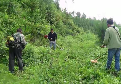 美友167245的美篇