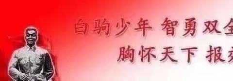 海南白驹学校第一支部关于学习贯彻习近平新时代中国特色社会主义思想主题教育简报