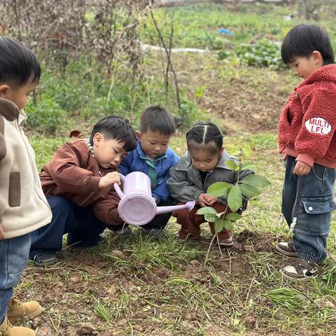 春暖花开🌱“植”得期待