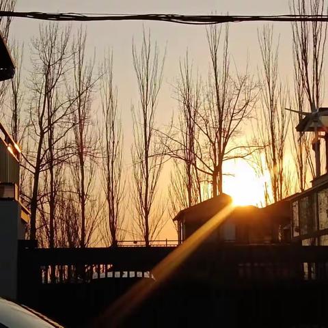 爱在春季，乐在自然