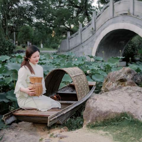 一池荷花半生梦