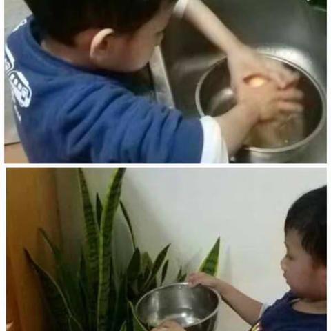 小班组“水儿珍贵，珠滴莫浪费”节约用水主题活动