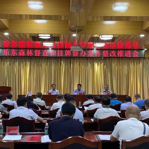 乐东召开全县森林督查和挂牌督办案件整改推进会