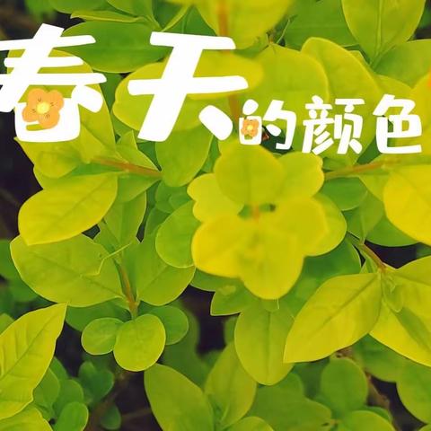 袋鼠日记~我和春天有个约