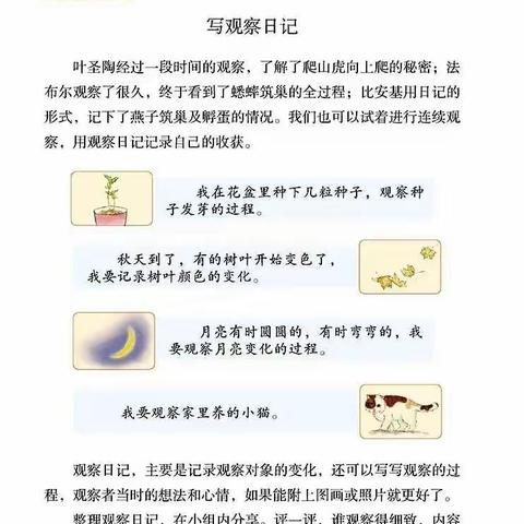 处处留心皆学问——临汾黑马弘毅学校语文《一课一写，越写越爱》四年级学生习作分享（第十三期—总第六十八期）