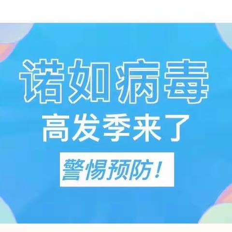 预防诺如病毒，呵护幼儿健康——临高县新盈头咀幼儿园开展诺如病毒宣传与预防