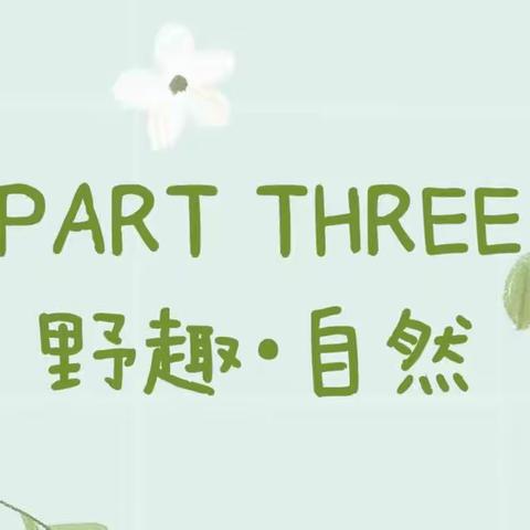 野趣•自然‖“畅游童年，奠基未来”庆幼十五园儿童节系列活动