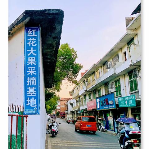 走进劳动基地，感受劳动之美                ——鸡冠山乡中心小学劳动教育实践活动