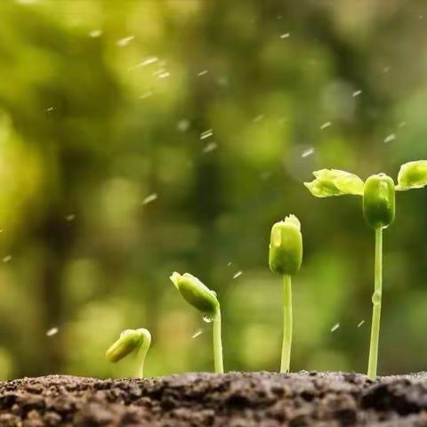 春风化雨 静待花开———龙驹中学2020级初一新生入学教育纪实