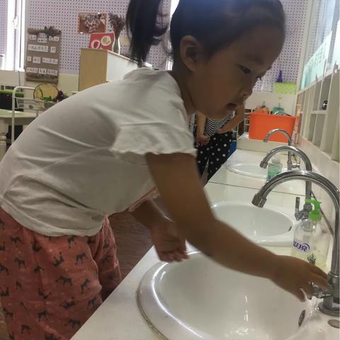 2018年9月5号英才贝贝幼儿园大树班美册