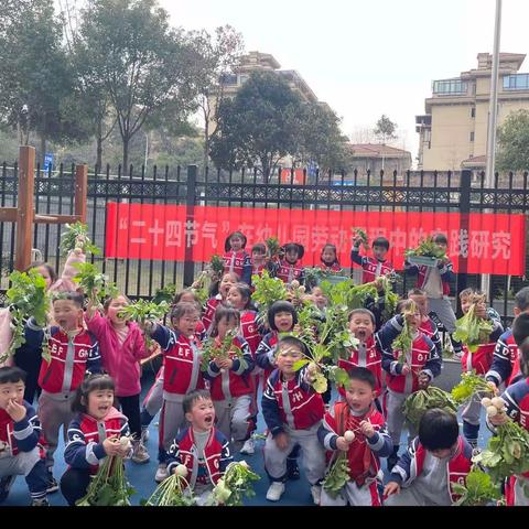 小小菜园，满满收获🥬 ———盛景天下小学附属幼儿园中二班“采摘记”