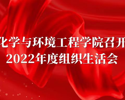 化学与环境工程学院召开2022年度组织生活会