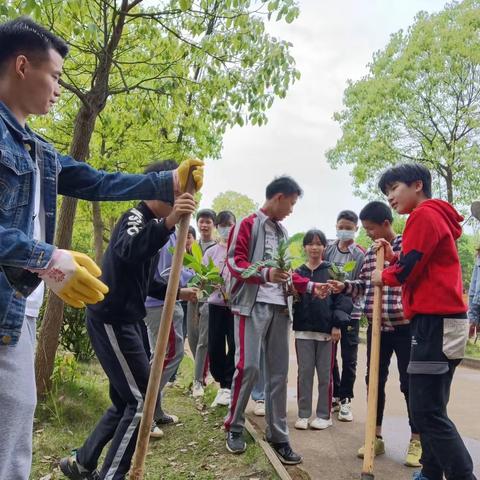 劳动实践 助力“双减” ——记占圩中学劳动教育劳动实践