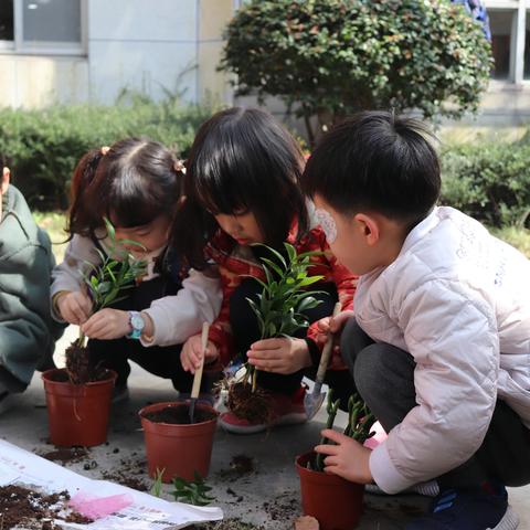 3.12植树节🌳我们在行动💪🏻