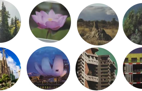 选择性必修三 Unit 5 Nature in Archiecture