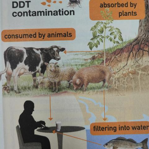 选择性必修三 Unit 6 Silent Spring