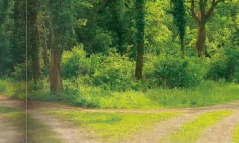 选择性必修四 Unit 1 The Road Not Taken