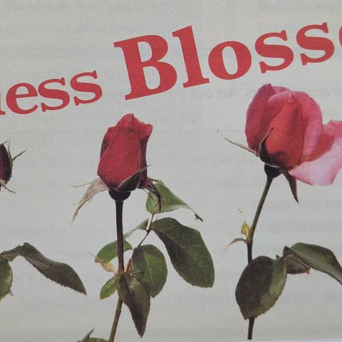 选择性必修四  Unit 4 Business Blossoms