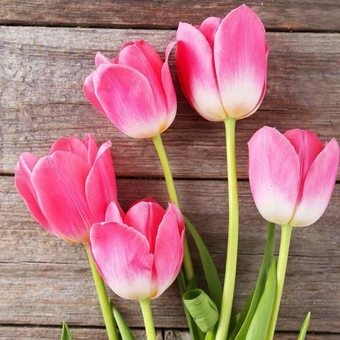 十月🌻更美好！