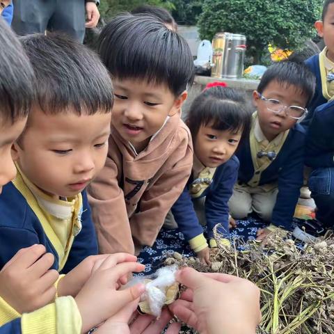 我和秋天有个约会——东高伟才幼儿园秋游活动