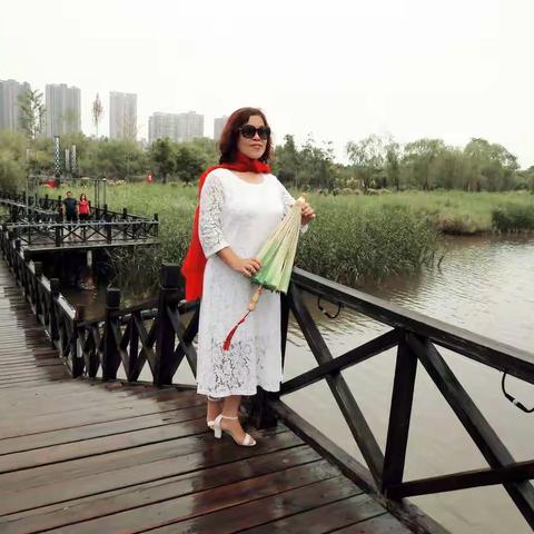 美篇〈漫步雨中荷花池〉