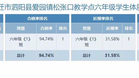 泗阳县爱园镇松张口小学学生体质健康、近视率排名