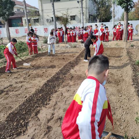 劳动最光荣 实践出真知