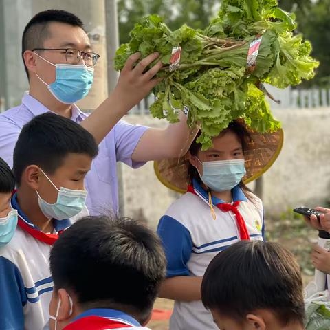 卖菜活动——中心小学礼义班劳动日志5