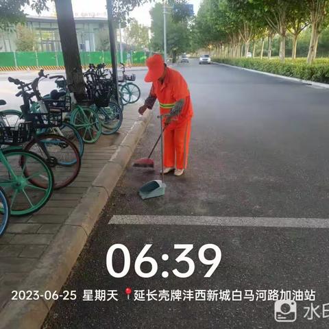 城市的“黄玫瑰”用汗水守护美丽沣西