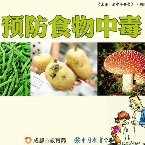 《预防食物中毒》安全教育