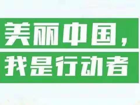 “垃圾分类好习惯，杜绝浪费你我行”沙店集中心小学在行动！