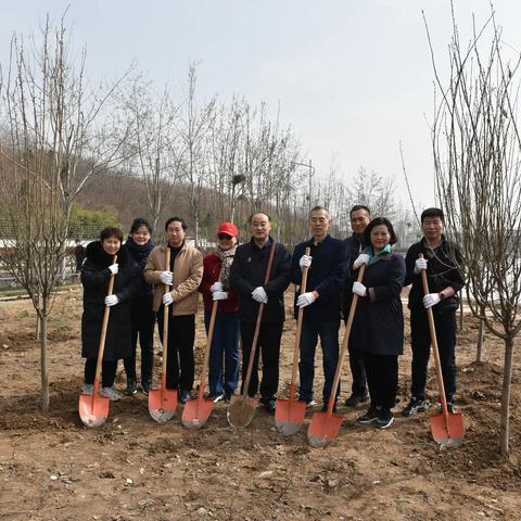 将树植在地上，把法种在心里