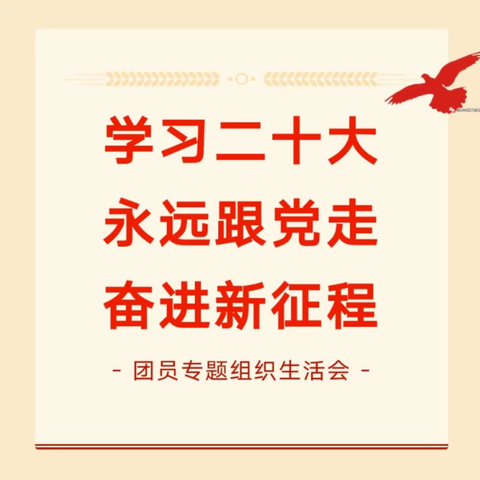 “学习二十大、永远跟党走、奋进新征程”团员专题组织生活会