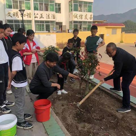 种植绿意，播撒希望——祁禄山镇中心小学植树活动