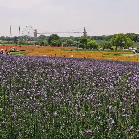 自强京汉，美好京汉。2022年5月20日值班日志