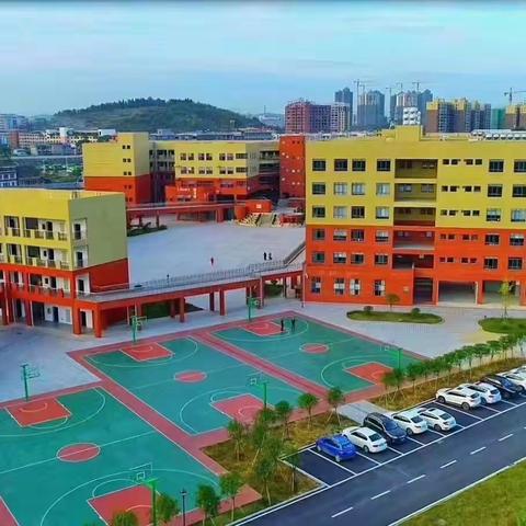 落实“双减” 聚焦课标 立足课堂