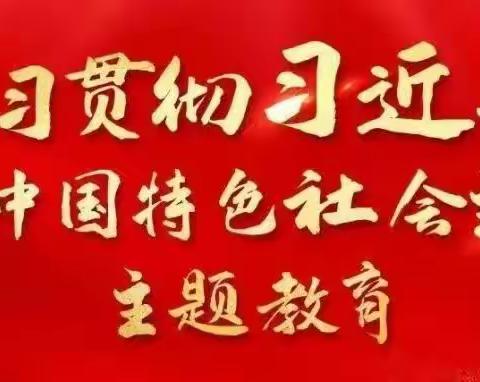 【主题教育】学思想 强党性 重实践 建新功——兴安盟红城小学书记讲党课