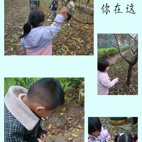 金陵中心幼儿园小一班———“玩转冬日，别样温暖”