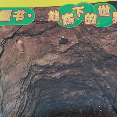 新世纪理想城幼儿园大二班上期第三学月主题《地底下的世界》总结