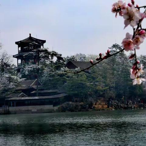 春花，春雪—山庄春之魅影