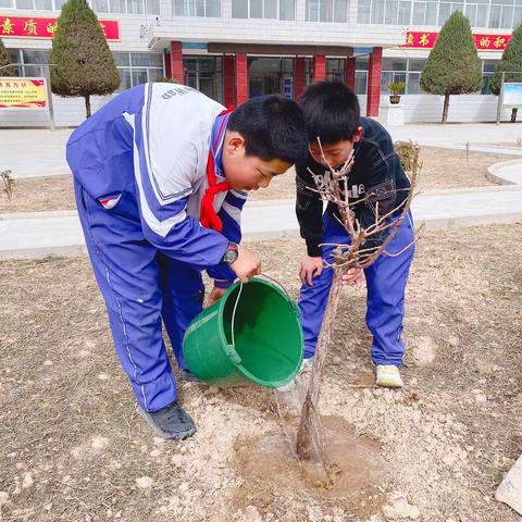 草木皆待春，你我共护绿