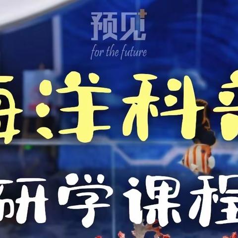 关于组织中小学“科技畅想传文明 海洋科普润少年”研学旅行