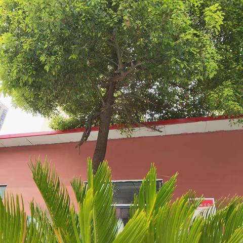 ★共济班★学会独立生活，养成良好习惯