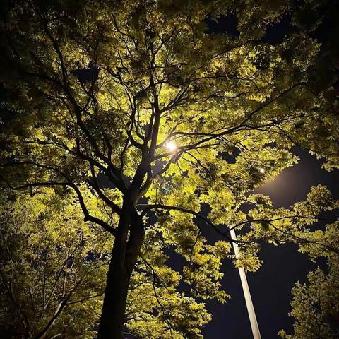 ★共济班★4月，遇见春天，遇见美